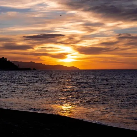 Septimo Cielo Primera Linea De Mar Lejlighed